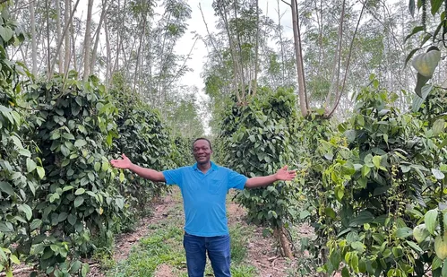 
          Imagem ilustrativa da imagem Produtores antecipam compra de fertilizante
          