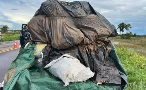 
          Imagem ilustrativa da imagem Quatro são presos com carga de grude de peixe avaliada em R$ 1 mi no Amapá
          
