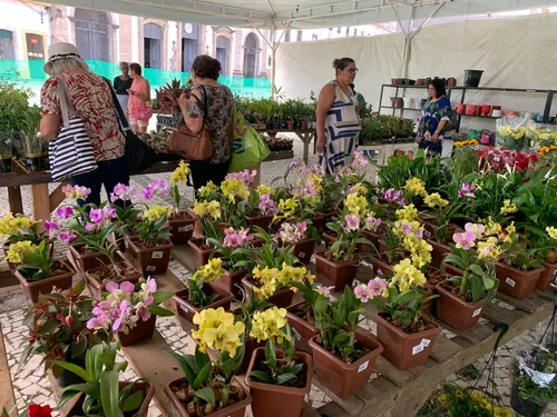 
          Imagem ilustrativa da imagem Recife recebe nova edição do Festival Flores de Holambra para o Dia das Mães
          