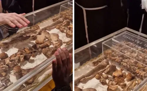 
          Imagem ilustrativa da imagem Restos mortais de São Francisco de Assis são exibidos ao público pela primeira vez
          