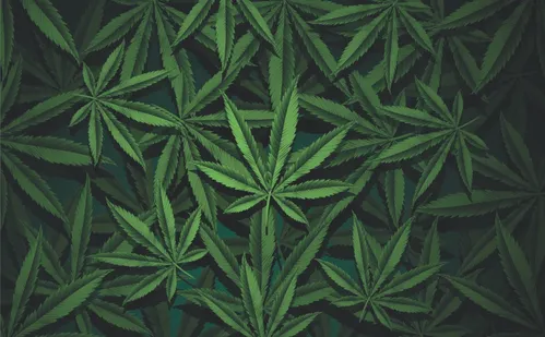 
          Imagem ilustrativa da imagem Risco para a saúde: uso de cigarro eletrônico dispara entre adolescentes
          