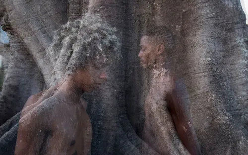 
          Imagem ilustrativa da imagem Roberta Guimarães lança livro e exposição "Árvore da Palavra" no Recife
          