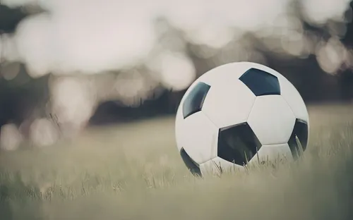 
          Imagem ilustrativa da imagem Rodada decisiva: Sport, Náutico e Santa Cruz entram em campo neste sábado
          