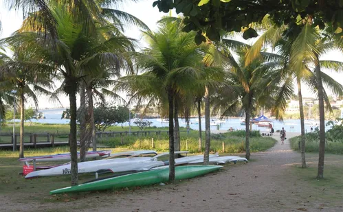 
          Imagem ilustrativa da imagem Segunda Flotilha “Sumud” une canoagem e solidariedade à Palestina em Vitória
          