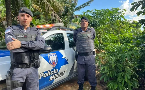 
          Imagem ilustrativa da imagem Segurança reforçada para evitar roubos em período de colheita do café
          