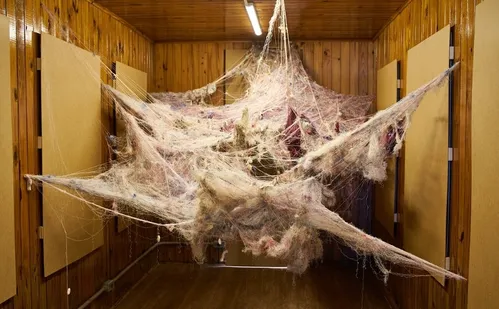 
          Imagem ilustrativa da imagem Serra recebe exposição nacional gratuita ‘Maré de Mudanças - Década dos Oceanos'
          