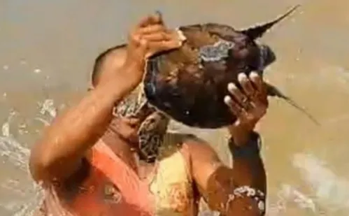 
          Imagem ilustrativa da imagem Tartaruga é resgatada após ficar presa em rede de pesca no ES
          