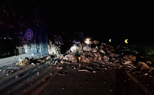 
          Imagem ilustrativa da imagem Trecho da BR-101 no Sul do ES é totalmente interditado após tombamento de caminhão
          