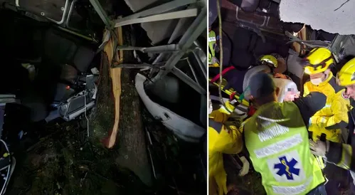 
          Imagem ilustrativa da imagem Três pessoas morrem e 13 ficam feridas após ônibus cair em ribanceira em Santa Catarina
          