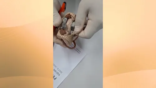 
          Imagem ilustrativa da imagem VÍDEO | Mulher tenta entrar em presídio em Vila Velha com drogas no chinelo
          