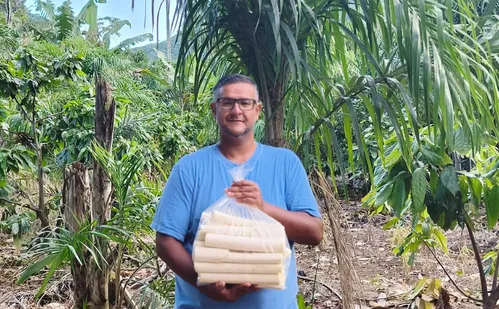 
          Imagem ilustrativa da imagem Veja onde comprar palmito para preparar a torta capixaba
          