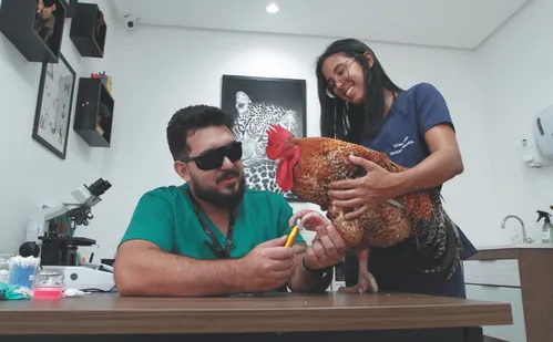 
          Imagem ilustrativa da imagem Vida Pet: até tratamento a laser para cuidar de galos
          