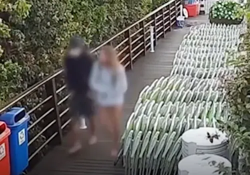 
          Imagem ilustrativa da imagem Vídeo mostra adolescente investigado voltando ao condomínio no dia da morte do cão Orelha
          