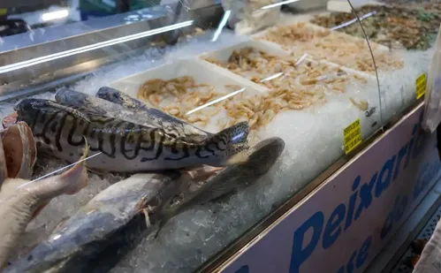 
          Imagem ilustrativa da imagem Vigilância Sanitária orienta sobre compra de pescado na Semana Santa
          