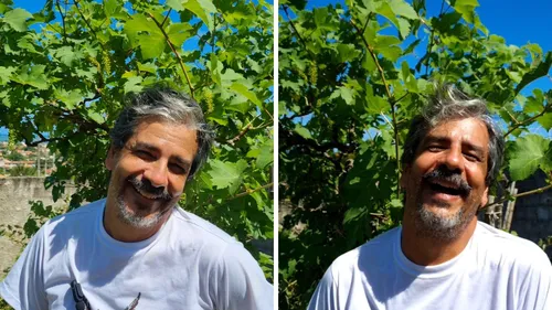 
          Imagem ilustrativa da imagem Vinho Bastardo de Itamaracá: a rara promessa já é aguardada por grandes críticos
          