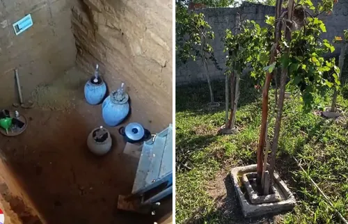 
          Imagem ilustrativa da imagem Vinho e maresia: Alessandro Albertini resgata uva extinta há 500 anos em Itamaracá
          