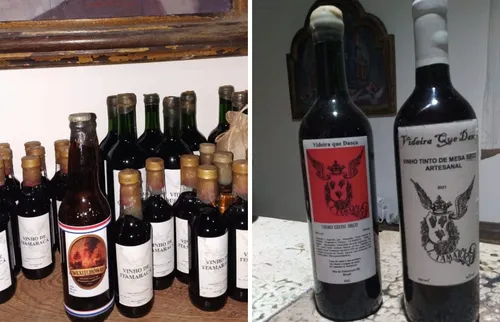 
          Imagem ilustrativa da imagem Vinho e maresia: Alessandro Albertini resgata uva extinta há 500 anos em Itamaracá
          