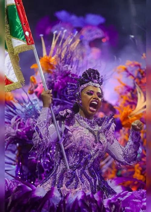 
          Imagem ilustrativa da imagem Desfile das campeãs do carnaval do Rio: onde a bandeira das escolas é mais do que um adereço
          