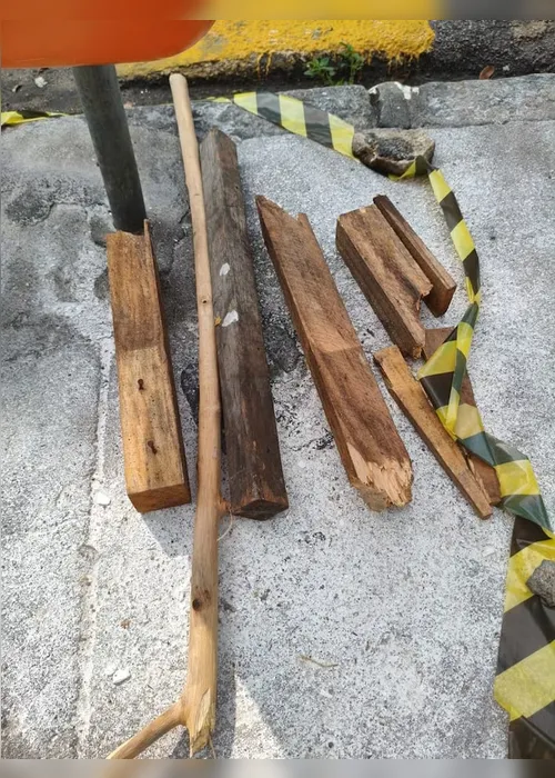 
          Imagem ilustrativa da imagem Oito homens espancam capivara com pedaços de pau no Rio de Janeiro; polícia busca agressores
          