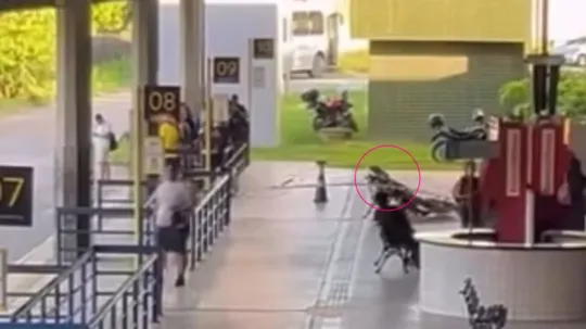 Imagem ilustrativa da imagem Mulher morre em banco do TIP e corpo aguarda mais de seis horas para ser removido