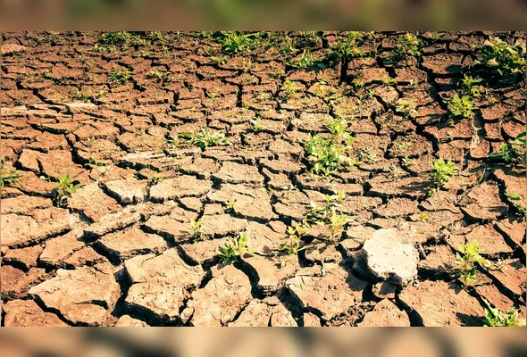 Imagem ilustrativa da imagem Avanço da "seca extrema" em Pernambuco atinge 72 municípios em 2026