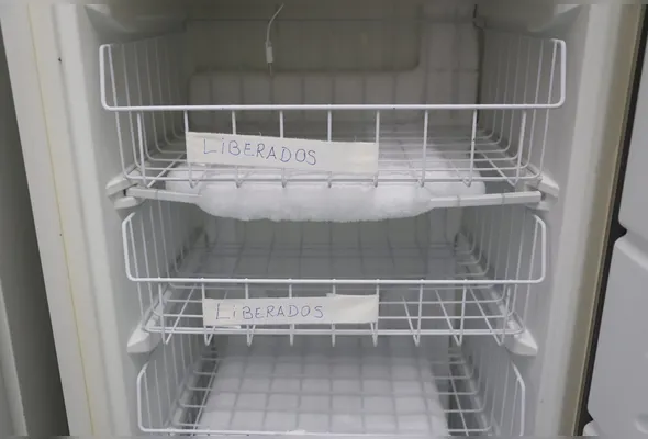 Volume de leite está abaixo do ideal para atender bebês prematuros e em UTIs