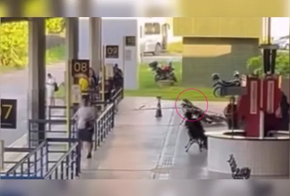 Imagens mostram corpo da mulher ao fundo, em um banco e coberto, aparentemente, por uma manta térmica.