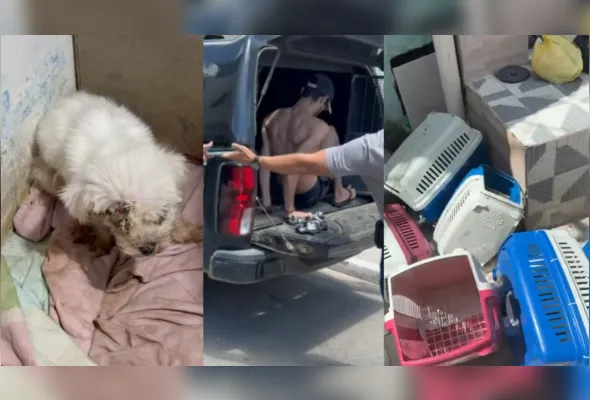 Imagem ilustrativa da imagem Polícia fecha canil clandestino e prende homem por maus-tratos e tráfico na RMR