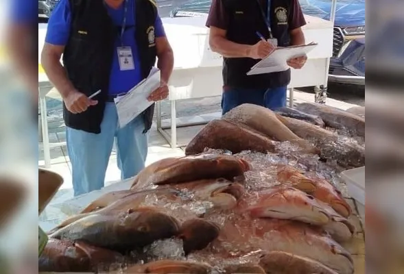 Fiscalização percorreu 12 estabelecimentos na Região Metropolitana do Recife, monitorou 45 itens, incluindo 26 tipos de peixes,