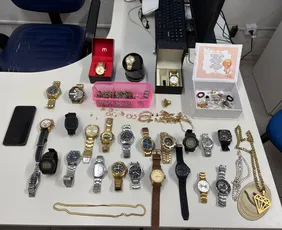 Imagem ilustrativa da imagem Diarista que dava dicas para quadrilha especializada em roubo de jóias é presa