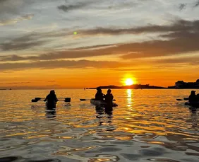 Imagem ilustrativa da imagem Remo no nascer do sol, trilhas e riqueza marinha: as belezas naturais de Vitória