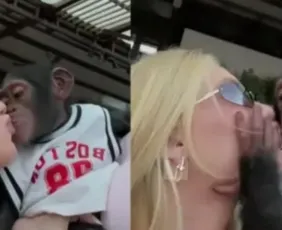 Imagem ilustrativa da imagem Virginia se pronuncia após críticas por vídeo em que aparece beijando macaco