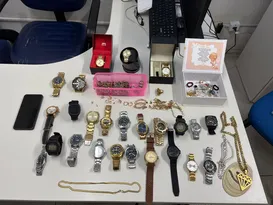 Imagem ilustrativa da imagem Diarista que dava dicas para quadrilha especializada em roubo de jóias é presa