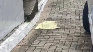 Imagem ilustrativa da imagem Feto é encontrado em cima de telhado em Ipojuca
