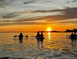 Imagem ilustrativa da imagem Remo no nascer do sol, trilhas e riqueza marinha: as belezas naturais de Vitória