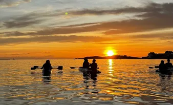 Imagem ilustrativa da imagem Remo no nascer do sol, trilhas e riqueza marinha: as belezas naturais de Vitória