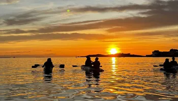 Remo no nascer do sol, trilhas e riqueza marinha: as belezas naturais de Vitória