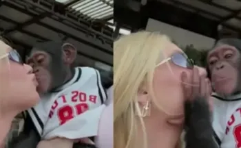 Imagem ilustrativa da imagem Virginia se pronuncia após críticas por vídeo em que aparece beijando macaco