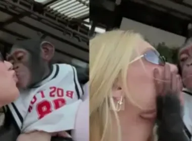Imagem ilustrativa da imagem Virginia se pronuncia após críticas por vídeo em que aparece beijando macaco