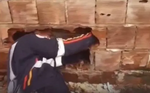 
          Imagem ilustrativa da imagem Bebê é encontrado abandonado entre muros de casas na Paraíba
          