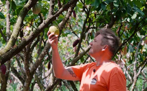 
          Imagem ilustrativa da imagem De floresta de cacau a produção de cerveja artesanal em Santa Teresa
          