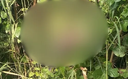 
          Imagem ilustrativa da imagem Detento é encontrado morto em linha férrea na Serra
          