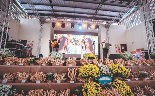 
          Imagem ilustrativa da imagem Festa do gengibre com shows de graça e delícias
          