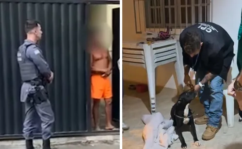 
          Imagem ilustrativa da imagem Homem é preso após ser flagrado agredindo cachorro com chinelo no Sul do ES
          