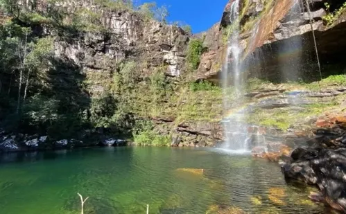 
          Imagem ilustrativa da imagem Menina de 8 anos é atacada por onça durante trilha na Chapada dos Veadeiros
          