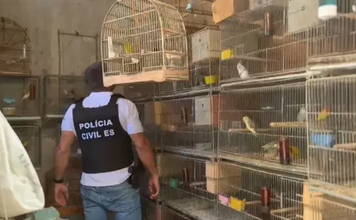 
          Imagem ilustrativa da imagem Operação fecha criadouro clandestino e resgata mais de 250 animais na Serra
          