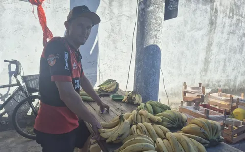 
          Imagem ilustrativa da imagem Produção de superalimentos ganha força no Espírito Santo
          