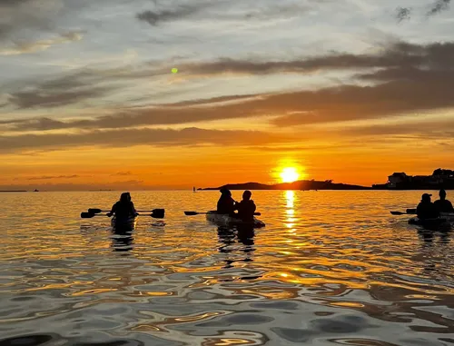 
          Imagem ilustrativa da imagem Remo no nascer do sol, trilhas e riqueza marinha: as belezas naturais de Vitória
          