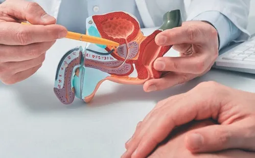 
          Imagem ilustrativa da imagem Terapias e dispositivos: as novidades da ciência para melhorar o sexo
          