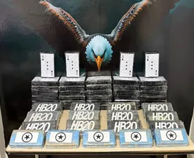 Imagem ilustrativa da imagem Ação da Polícia Civil apreende 53 kg de drogas em Petrolina